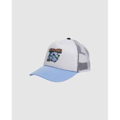 Billabong Boys Larry Trucker Cap