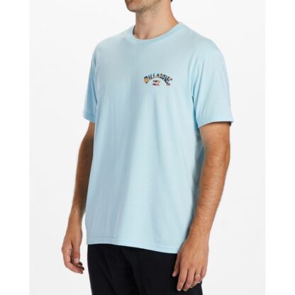 Billabong Mens Arch Fill SS T-Shirt