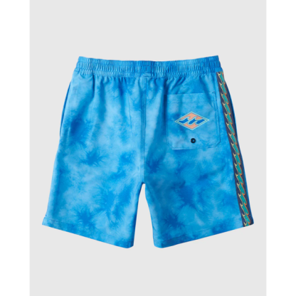 Billabong D Bah Layback Boys Boardshorts