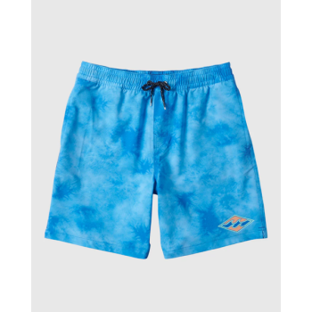 Billabong D Bah Layback Boys Boardshorts