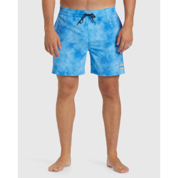 D Bah Layback Mens Boardshorts
